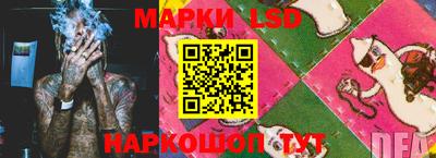 прущие грибы Можга