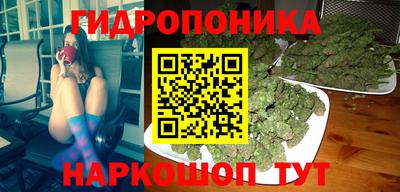 прущие грибы Можга